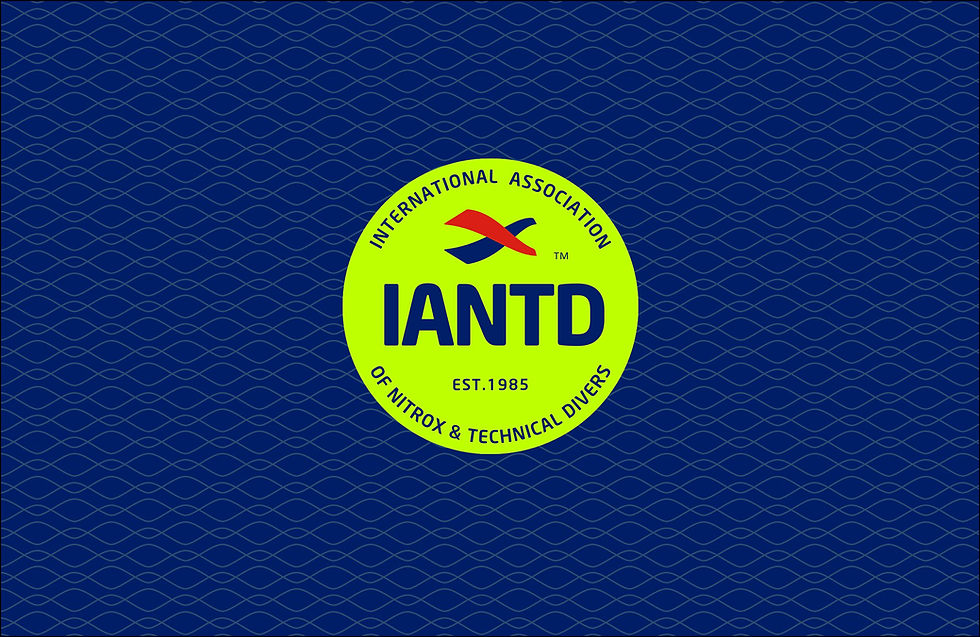 2022-IANTD-Banner-Badge