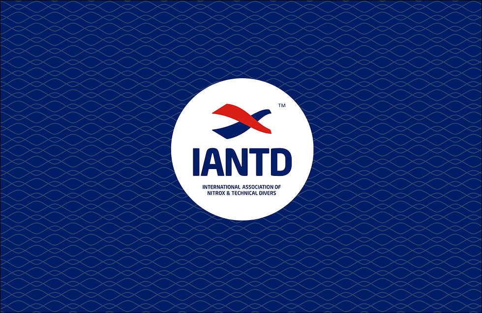 2022-IANTD-Banner