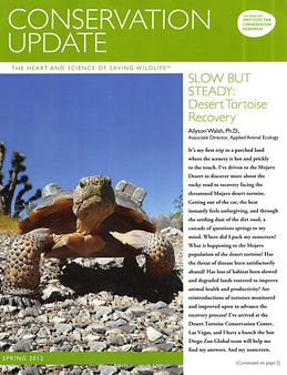 2015 SDZ Tortoises Walsh.jpg