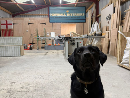 joinery-workshop-dog