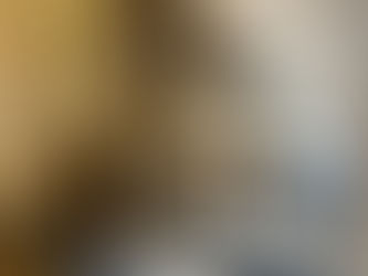 Under-stairs wine and whisky storage, made to measure