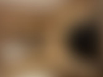 Practical tack room joinery with fitted units built for durability and ease of use