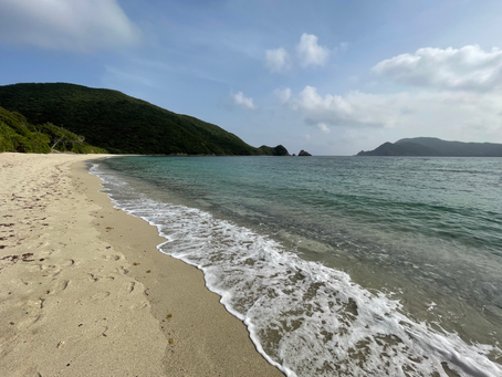 カメラが壊れた日、感性がひらいた-奄美大島 リトリートの記録-