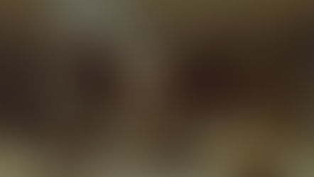 Un monde de fous (II)