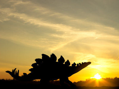 Micronouvelle : Le Dinosaure, Augusto Monterroso (texte intégral)