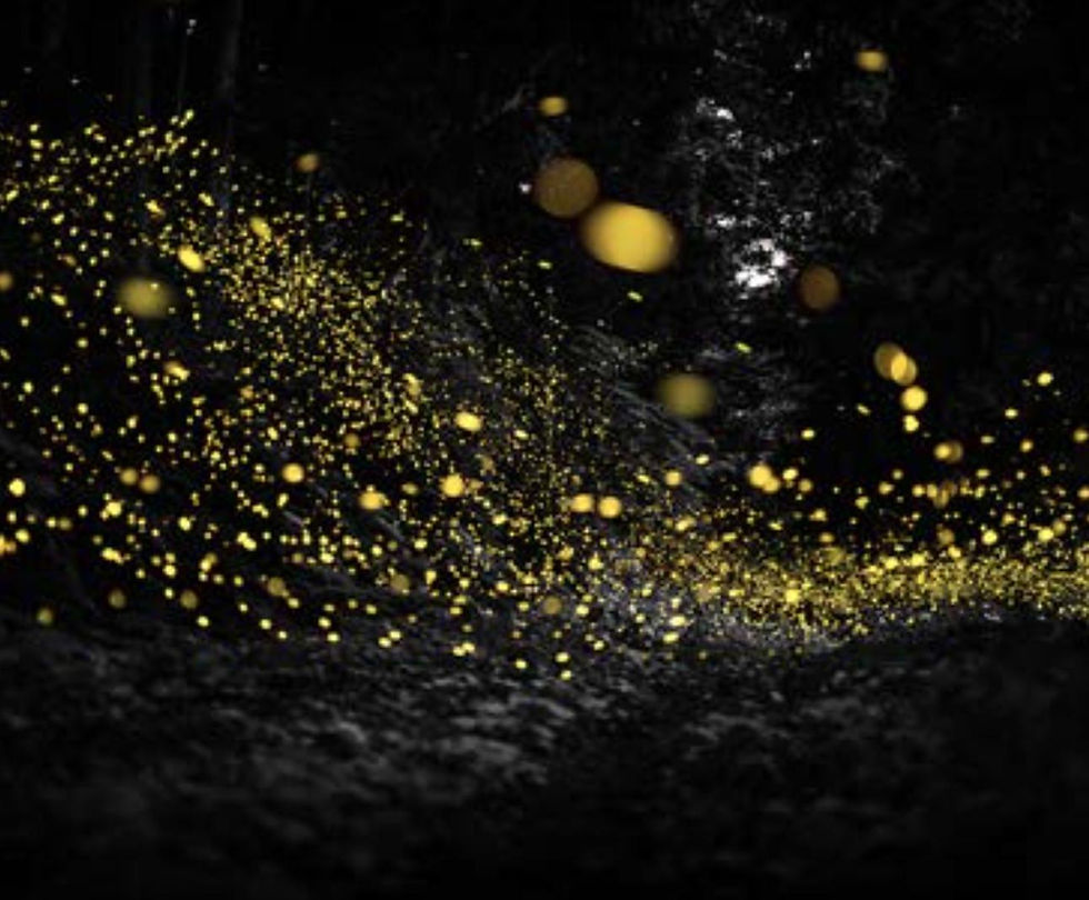 Photo : Kazuaki. Poussières de lumière.