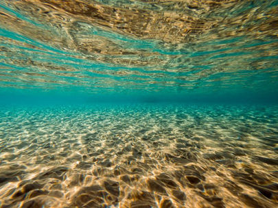 Fond marin, réflexion, turquoise et or