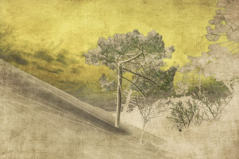 Photo : Julie Arnoux. Panser l'environnement et l'être en kaïkus.