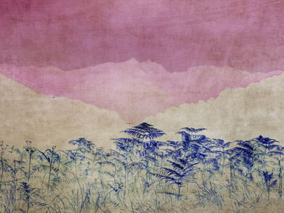 Photo. Panser l'environnement et l'être en haïkus.