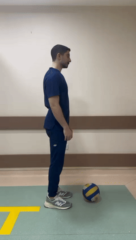 17.gif