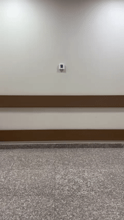 8.gif