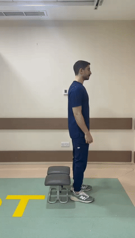13.gif