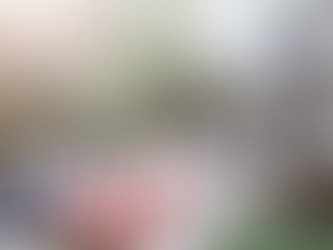 Do Elections Impact the Housing Market?