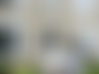 The Sweet Spot for Buying Luxury Homes