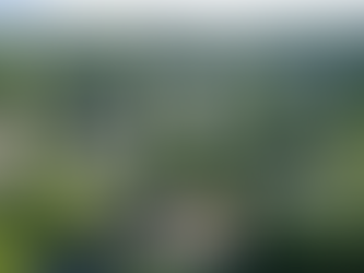 Housing Market Forecasts for the Rest of 2025