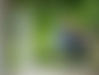 Is It Better To Buy Now or Wait for Lower Mortgage Rates? Here’s the Tradeoff