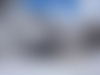 From First Home to Forever Home