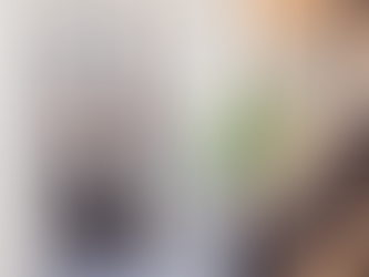 Why an Agent Is Essential When Buying a Newly Built Home