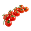apuila_tomato.png