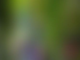 Kanjons Rio Sass. Itālija.