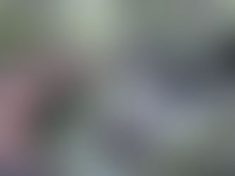 Liechtensteinklamm – klasika tūristiem Austrijā