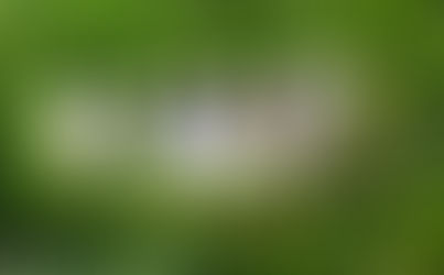 Comment prendre soin des blessures de l'âme avec les élixirs précieux Jor ?