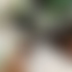 Journaling is Therapeutic