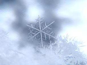 【1/5更新】インフルエンザワクチンの在庫状況について