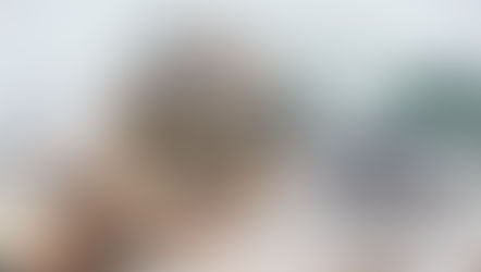 Mohn Babka oder einfach Mohnkuchen