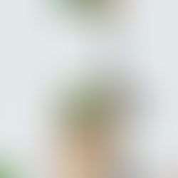 Leichte Kartoffel- Zucchini Laibchen mit Frischkäse