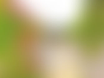 Com'z、しまめもりーのEnglish ver.をリリース