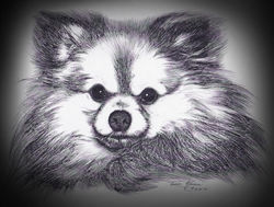 Muffin's Portrait