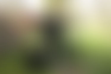 Samstag, 10. April 2021, noch genau ein halbes Jahr!