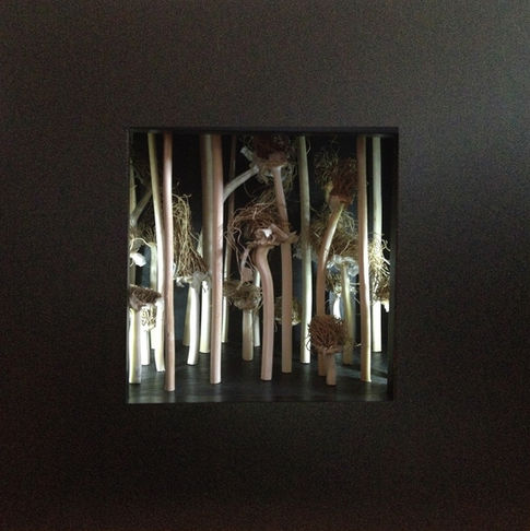 Lit From Within 1 box assemblage sculpture by Timothy Beckstrom