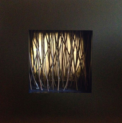 Lit From Within 2 box assemblage sculpture by Timothy Beckstrom