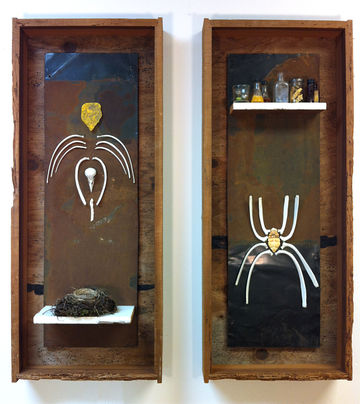 Bird and Beetle dyptych assemblage with bones by Timothy Beckstrom