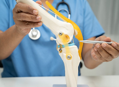 Meniscus Repair_img.jpg