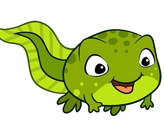 tadpole 1_edited.jpg