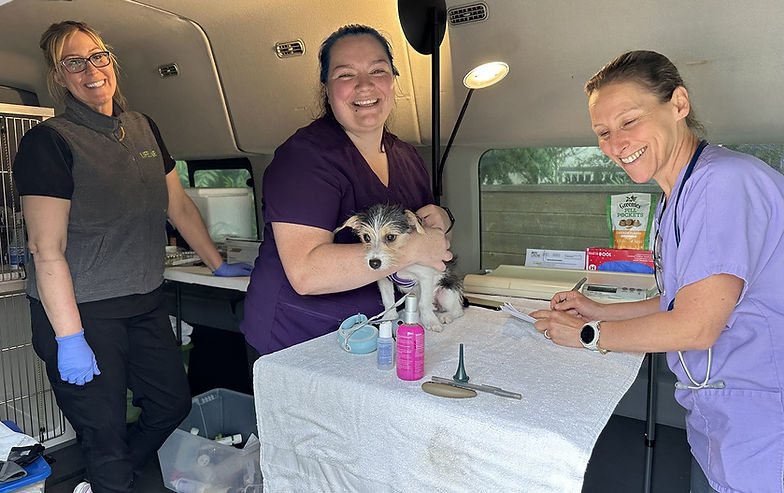 spay and neuter sonoma valley.jpg