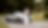 LCP04683-2_edited.png