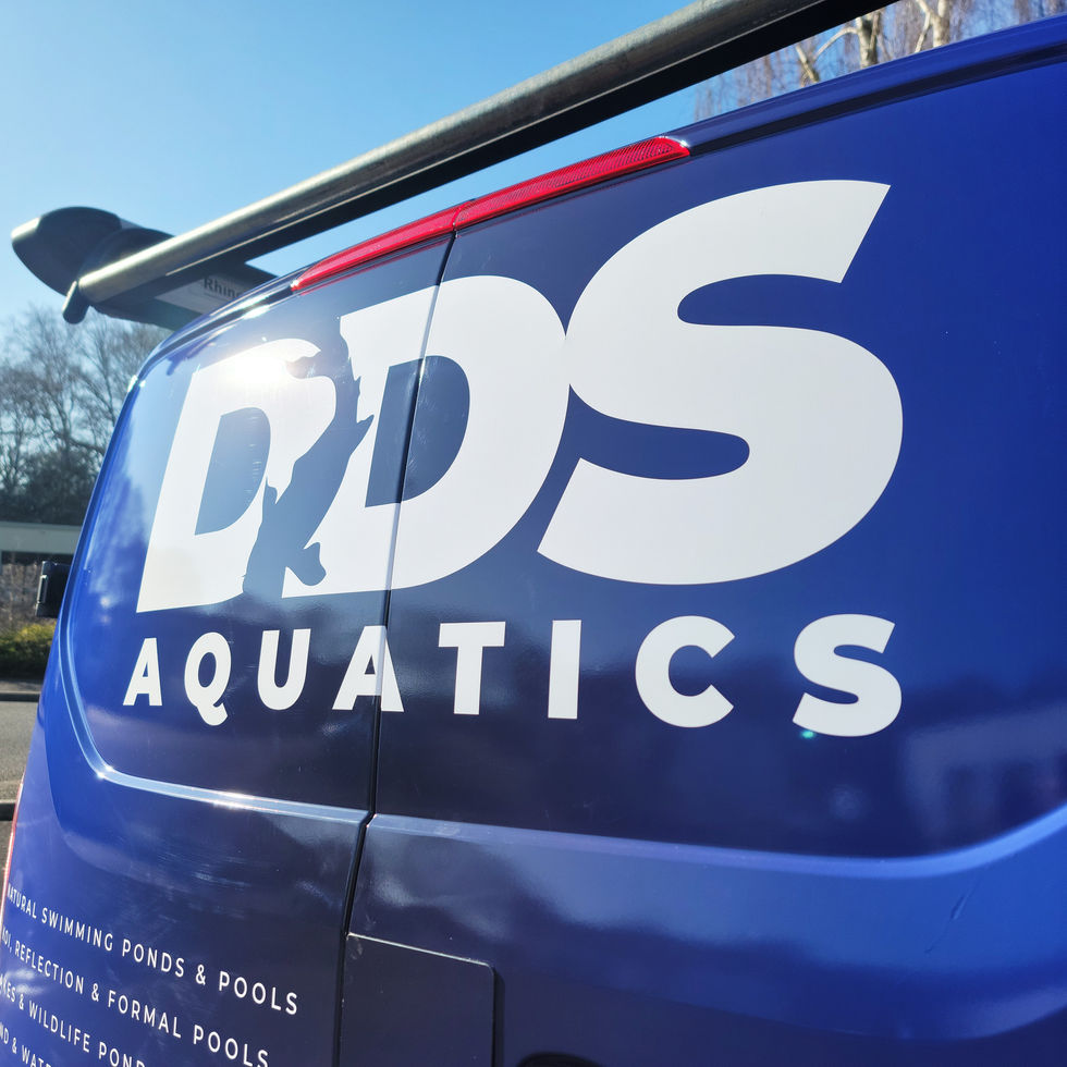 DDS_Aquatics_Custom_2.jpg
