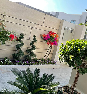 WhatsApp Image 2023-09-12 at 12.48.42 PM.jpeg