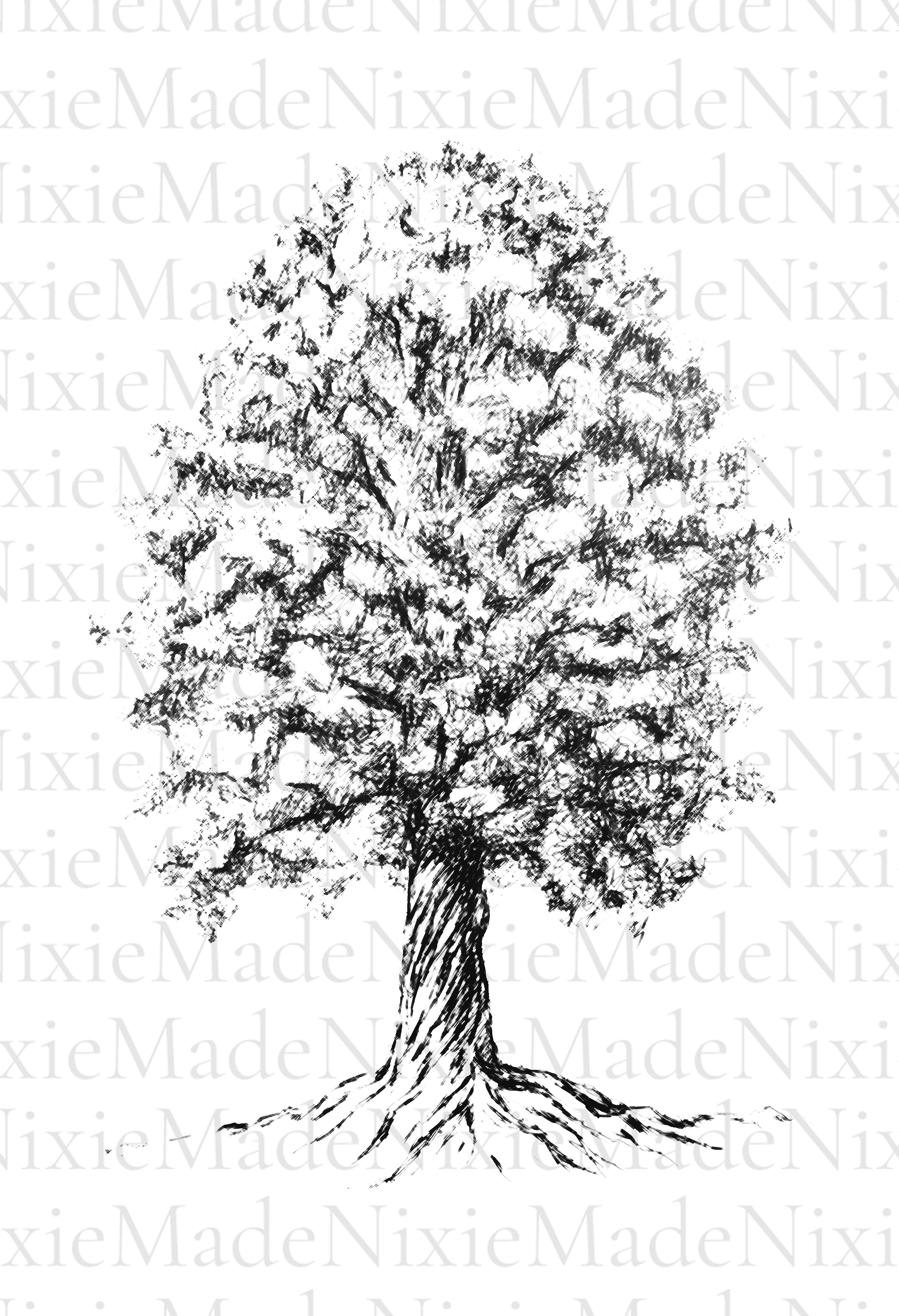 Printable Art Ink Illustration Sweet Chestnut Tree