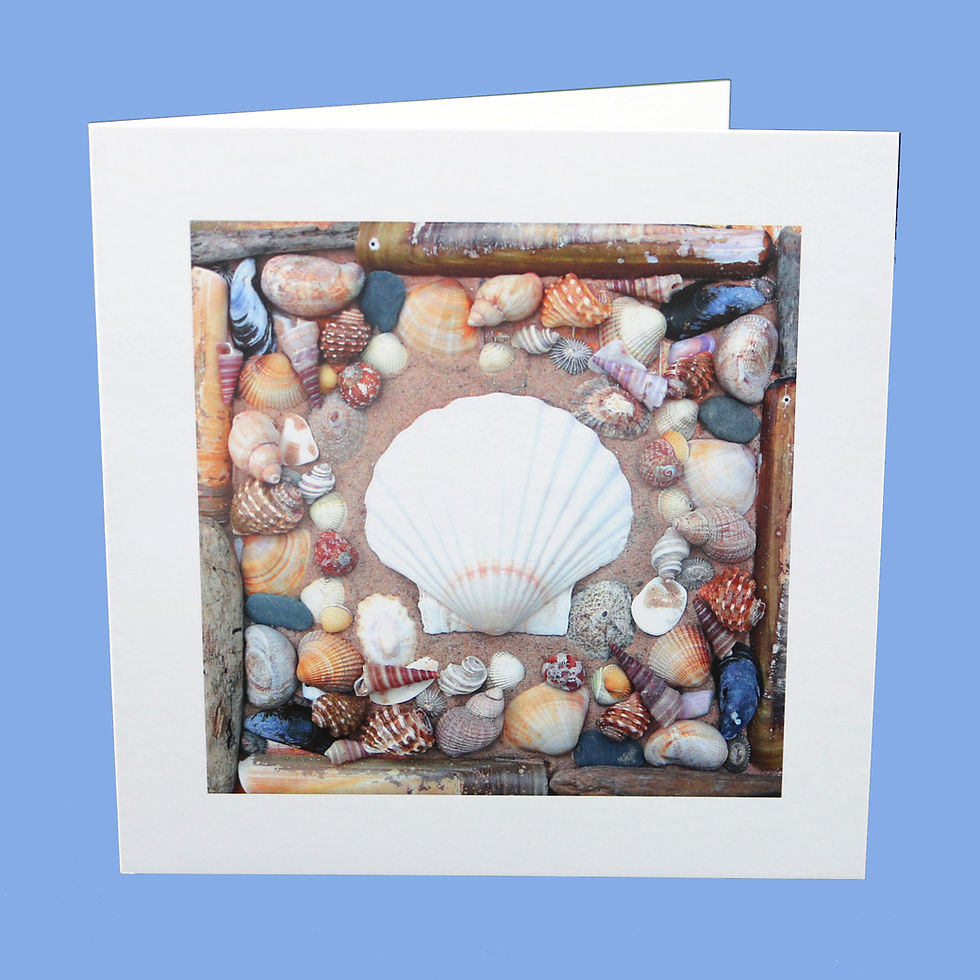 Sea Treasures Shells Greetings Card