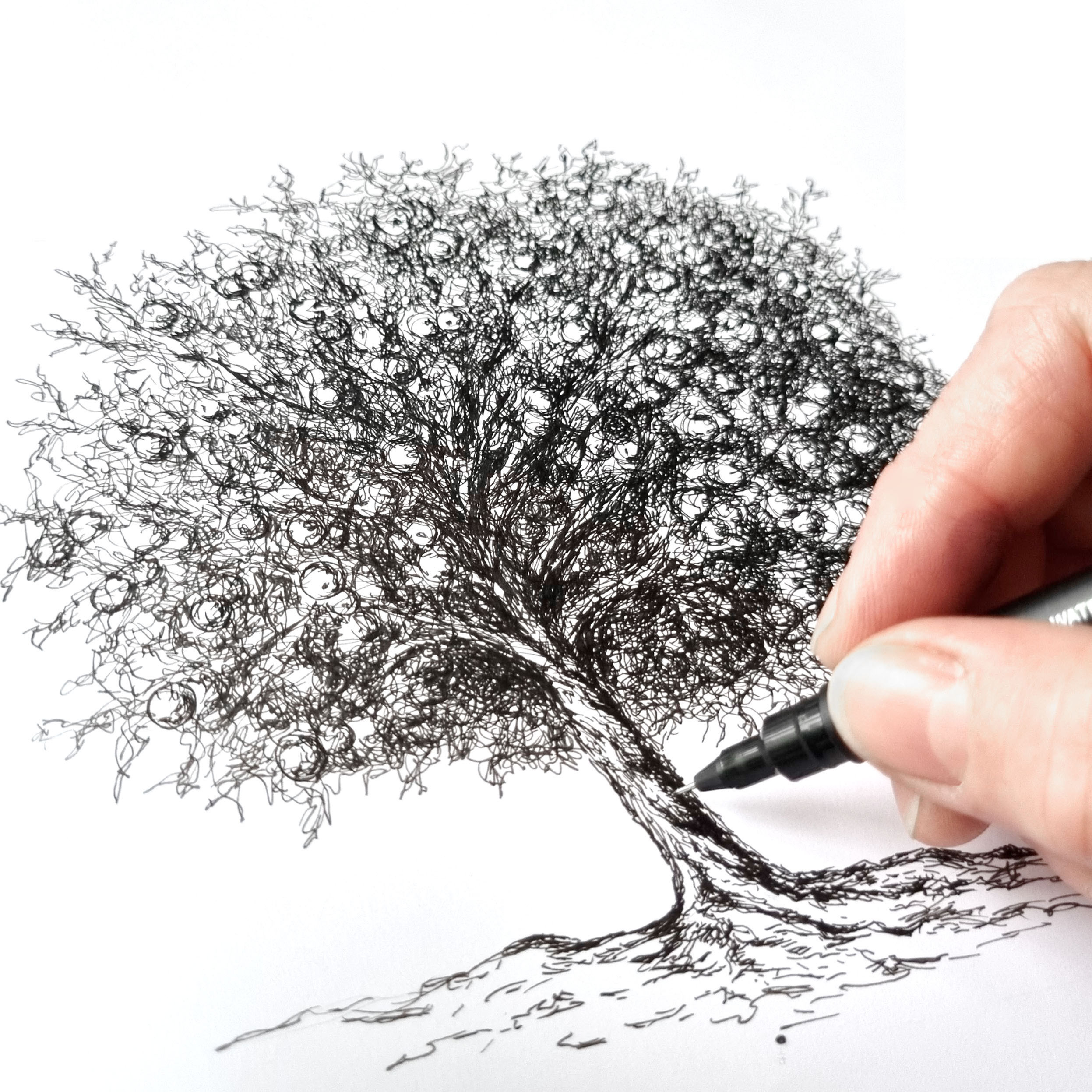 Pen drawing of apple tree
