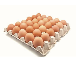 Egg Carton (12)_edited.jpg