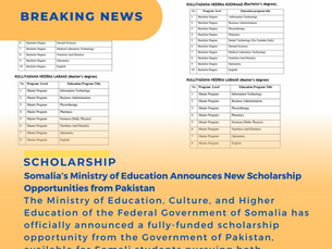 Information Technology Business Administration Pharmacy Physiotherapy Nutrition and Dietetics