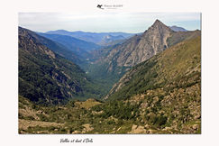 miroir d'été (49).jpg