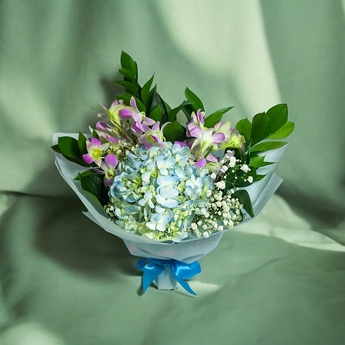Photoroom-20250110_161426.png