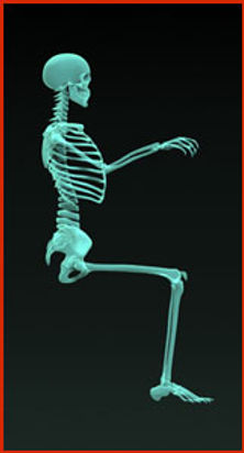Posture_good.jpg